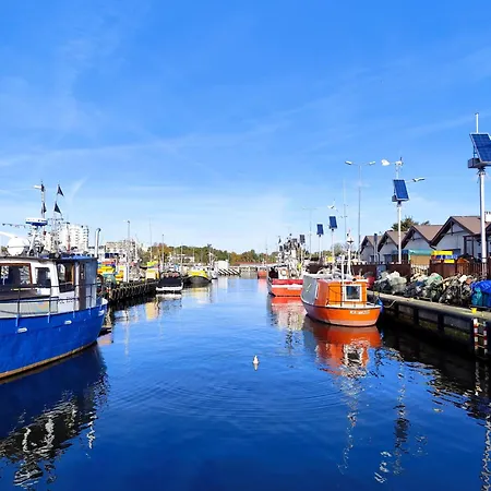 Zachodni Brzeg Daire